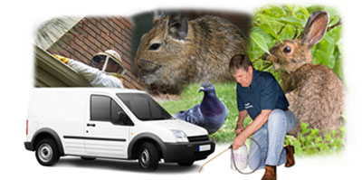 Urmston local van